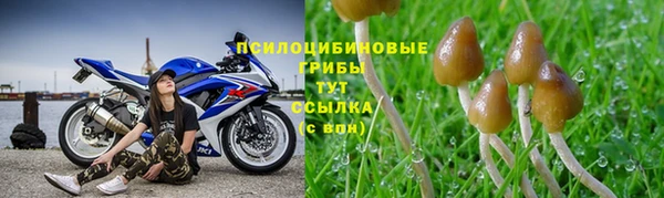 экстази Аркадак