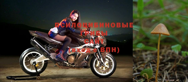 бутират Алзамай
