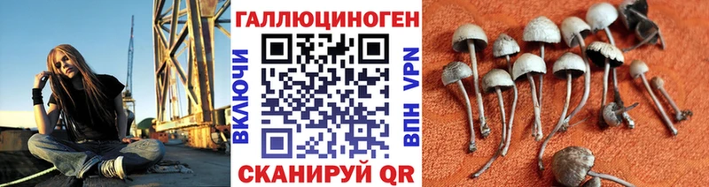 Псилоцибиновые грибы прущие грибы  наркота  Байкальск 